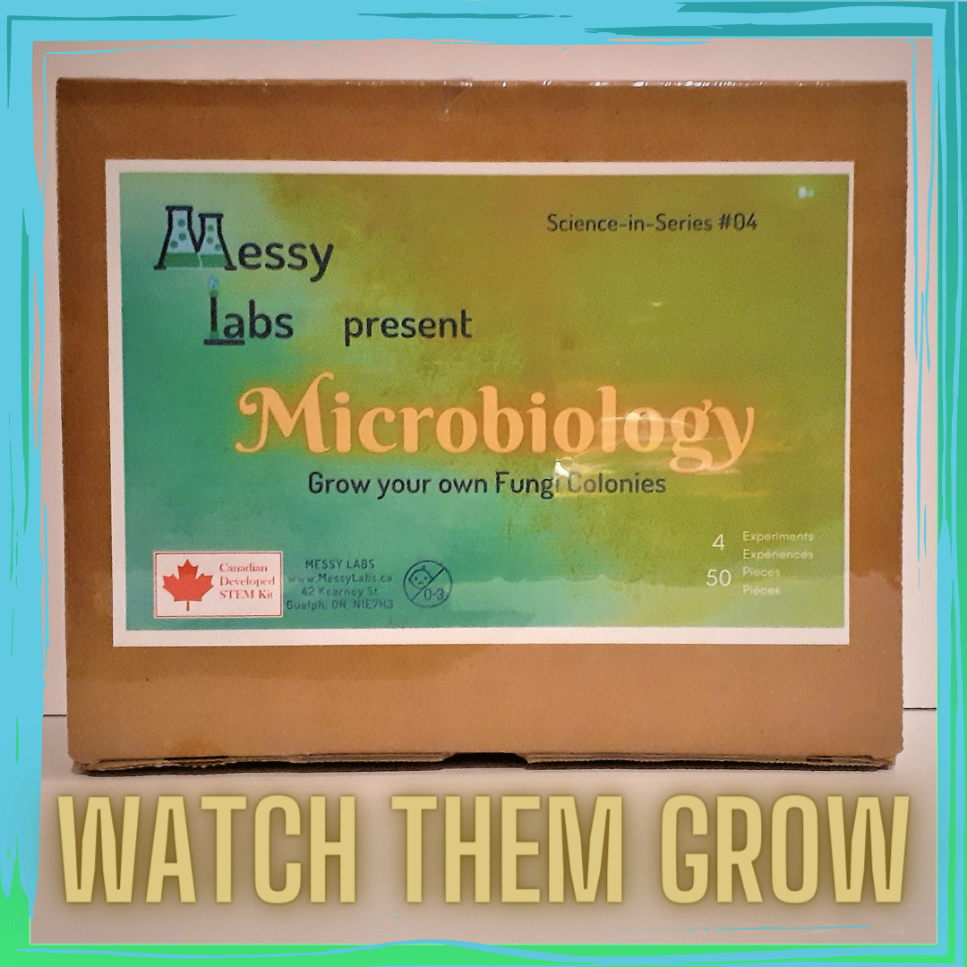 Microbiology- SiS#04